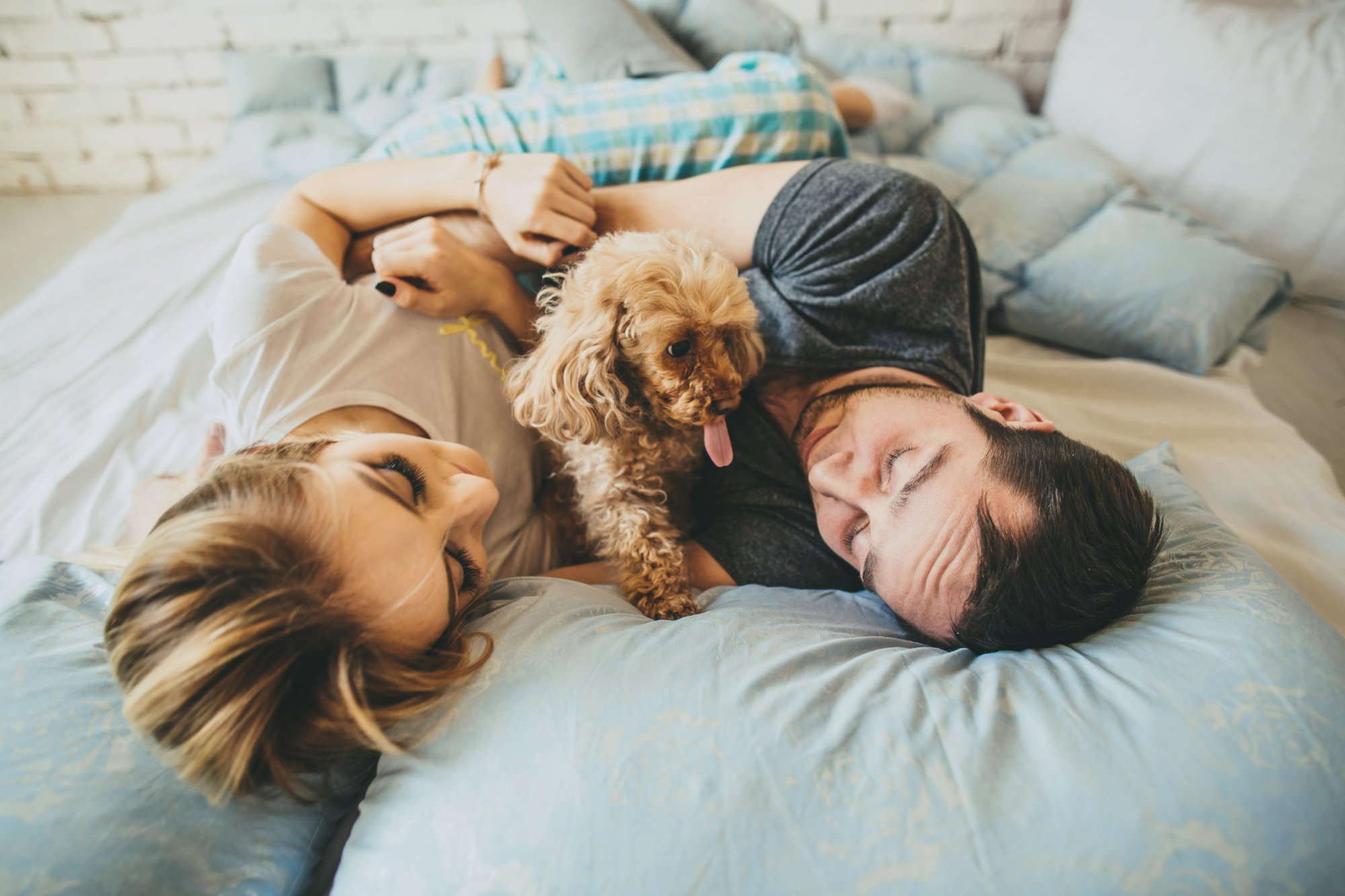 couple with their pet dog relaxing on the couch